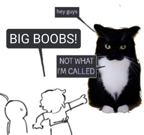 Big Boobs Cat Correction