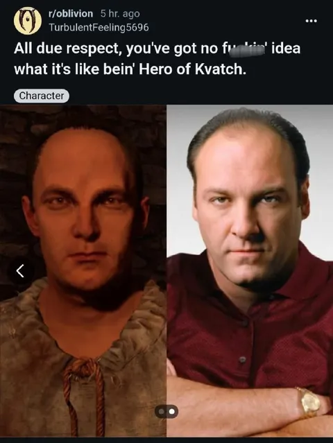Hero of Kvatch Has No Idea