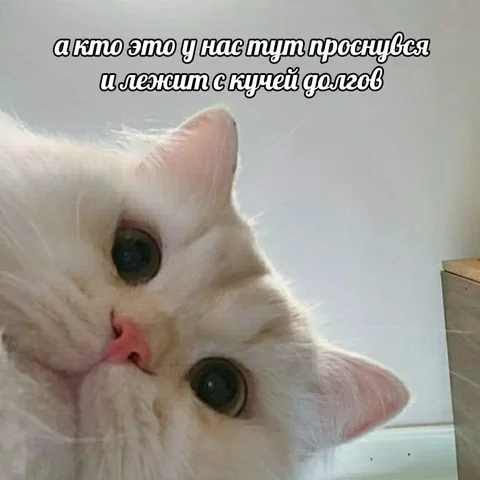 Кто проснулся с кучей долгов