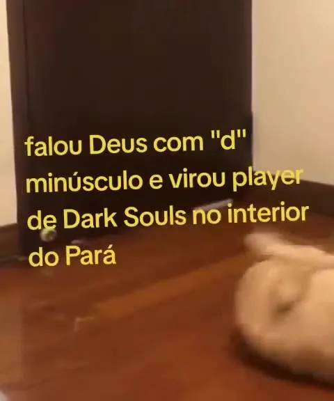 Gato joga Dark Souls no Pará