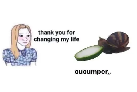 Cucumber Changes My Life