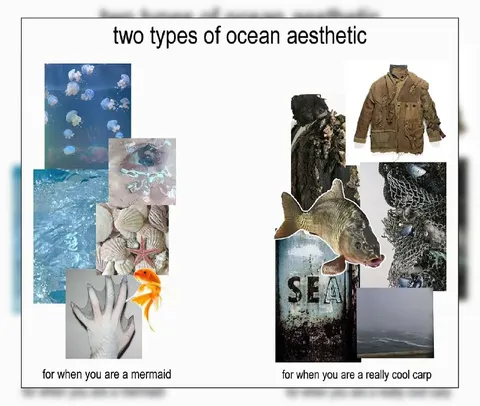 Two Types of Ocean Aesthetic