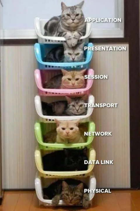 Cats as the OSI Model