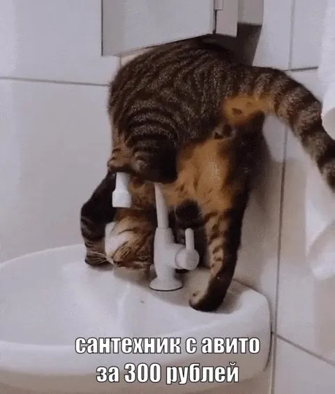 Сантехник с Авито за 300 рублей