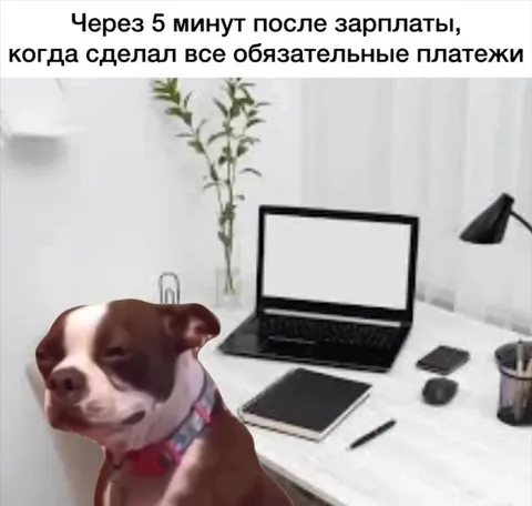 Зарплата исчезла после платежей