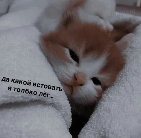 Я только лёг