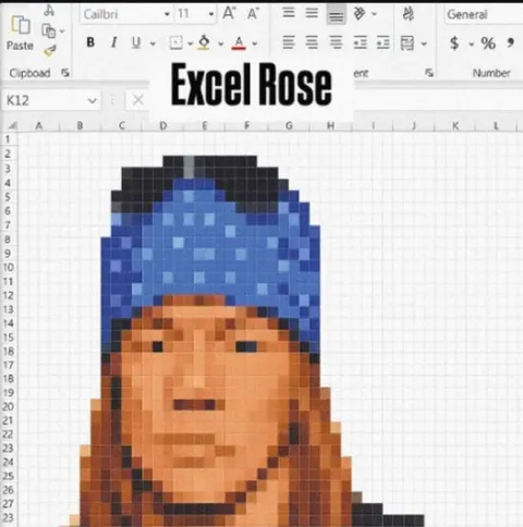 Excel Rose Pixel Portrait