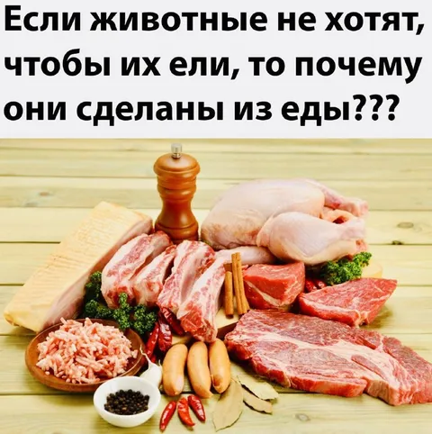 Если животные не хотят есть мясо