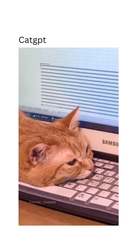 CatGPT Falls Asleep on Laptop
