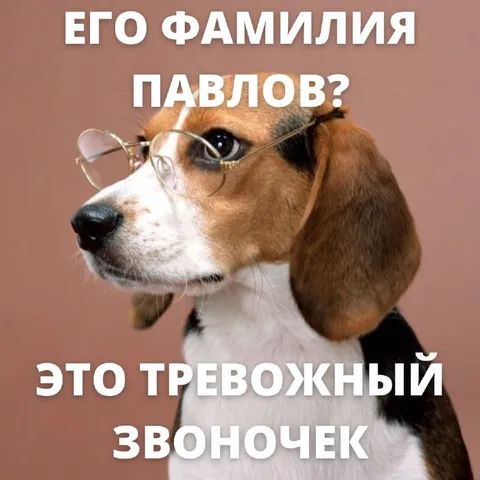 Тревожный звоночек Павлов