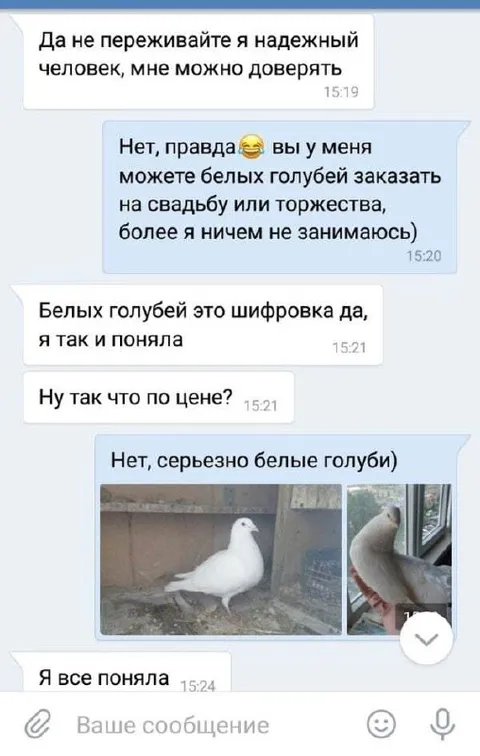 Белые голуби — это шифровка