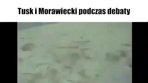 Polska po wyborach
