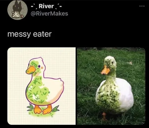 Messy Eater Duck