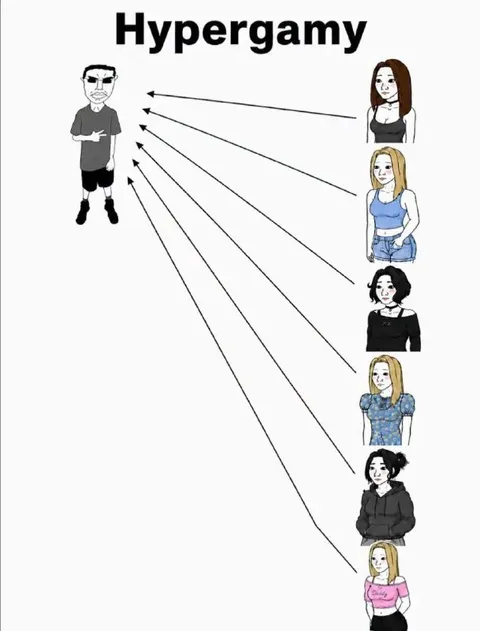 Hypergamy Attraction Diagram