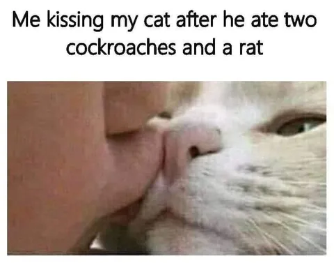 Kissing Cat After Eating Pests