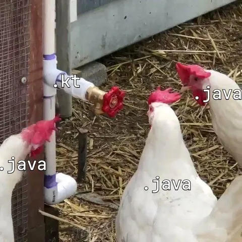 Java Chickens Ignore Kotlin