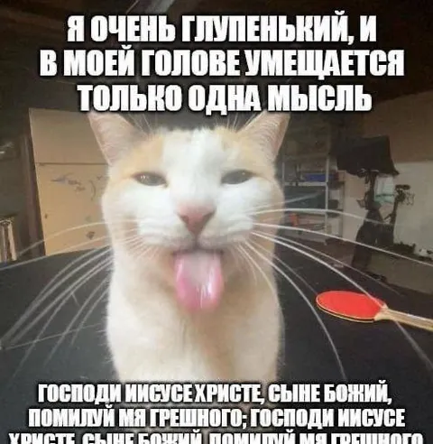 Одна мысль в голове