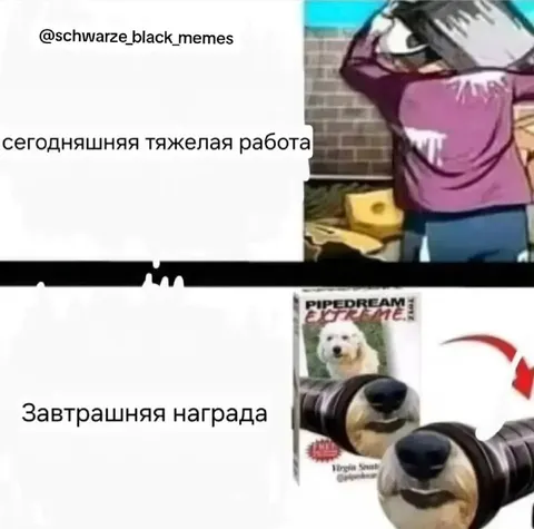 Сегодняшняя тяжелая работа