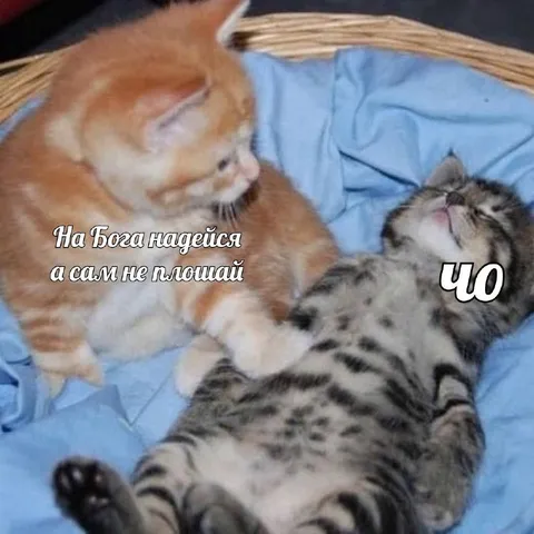 На бога надейся, а сам не плащай