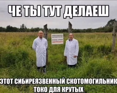 Сибирязвенный скотомогильник