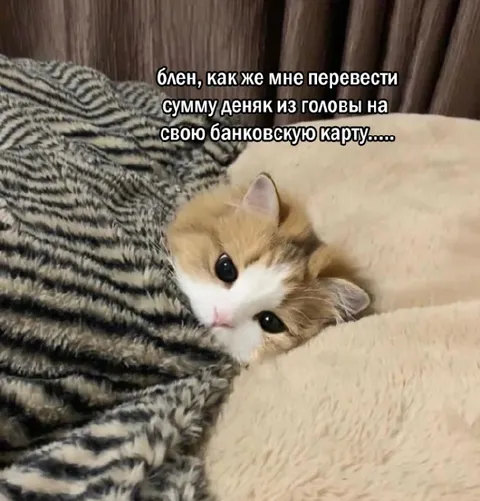 Перевести деньги из головы