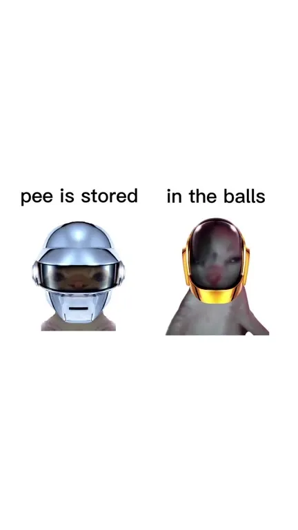 Pee Is Stored in the Balls
