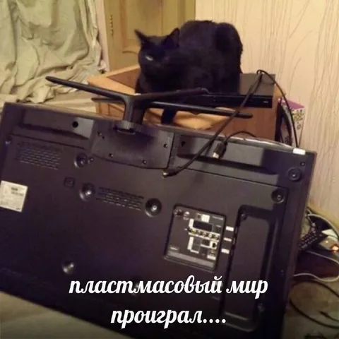 Пластмассовый мир проиграл