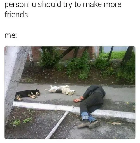 You Should Make More Friends