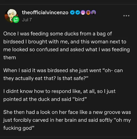 The Duck Is a Bird