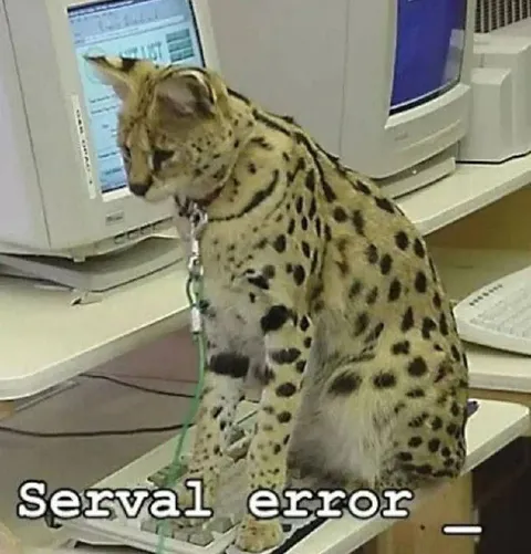 Serval Error at the Computer