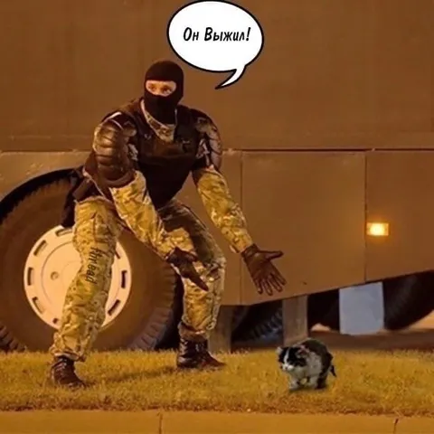 Он выжил среди хаоса