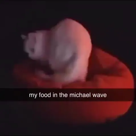 My Food in the Michael Wave