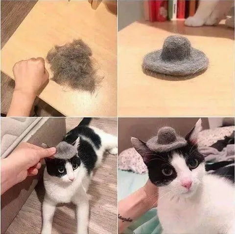 Кот в шляпе из шерсти