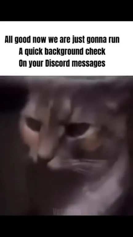 Discord Background Check Cat