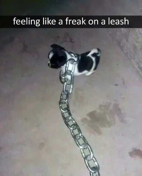 Feeling Like a Freak on a Leash