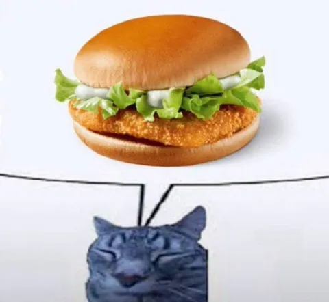 Кот смотрит на бургер