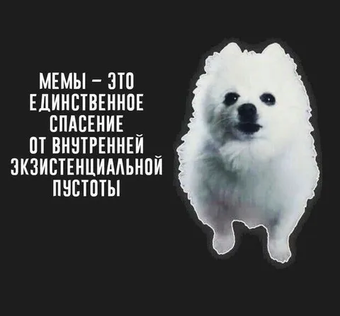Мемы спасают от пустоты