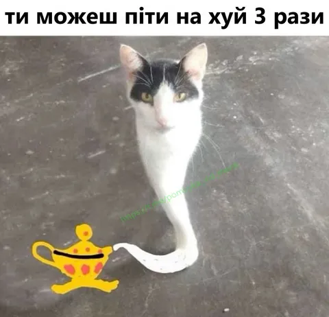 Кіт виконує три бажання