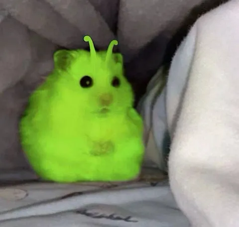 Неоновый инопланетный хомяк
