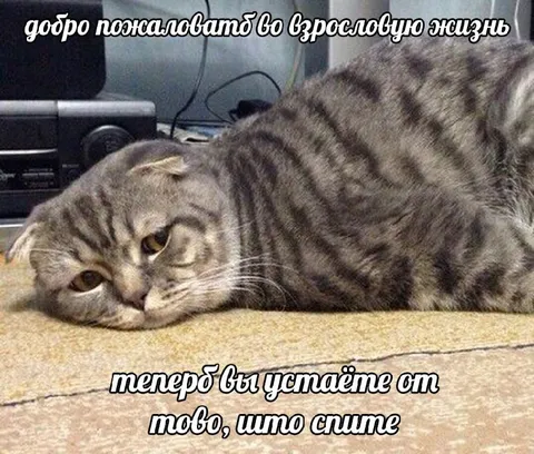 Добро пожаловать во взрослую жизнь