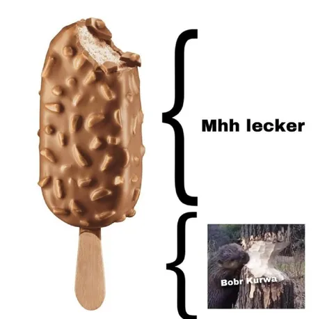 Mhh lecker, Bobr Kurwa