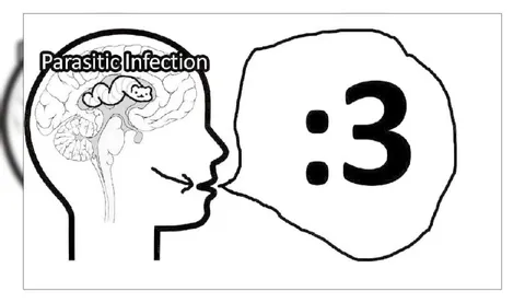 Parasitic Infection :3