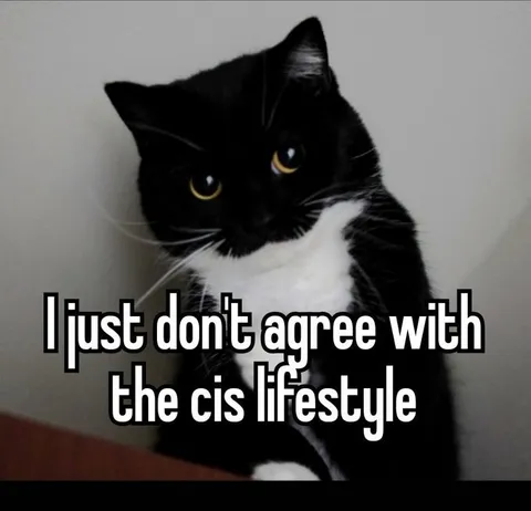 Cat Rejects Cis Lifestyle