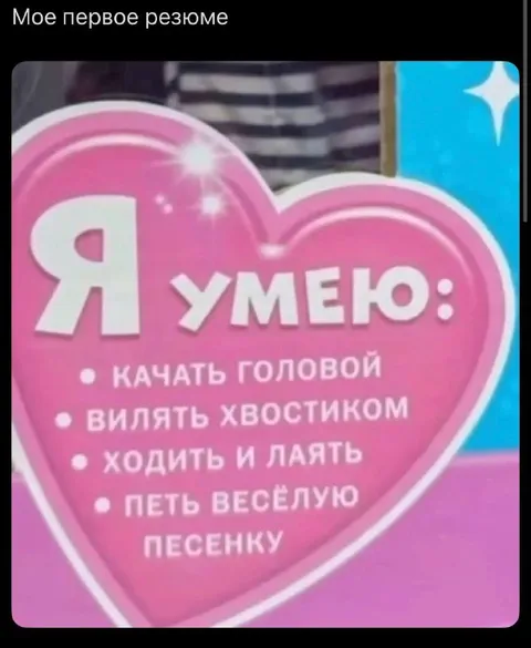 Моё первое резюме