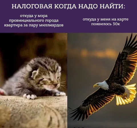 Налоговая ищет происхождение денег