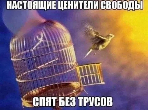 Настоящие ценители свободы