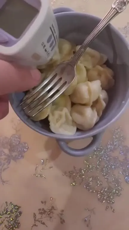Checking the Dumplings’ Temperature