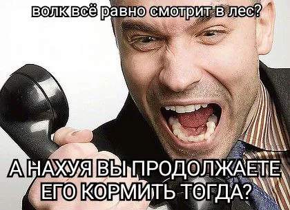Волк всё равно смотрит в лес