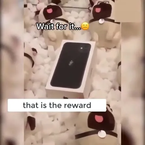 Wait for It Claw Machine Reward