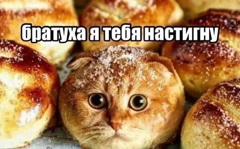 Братуха, я тебя настигну